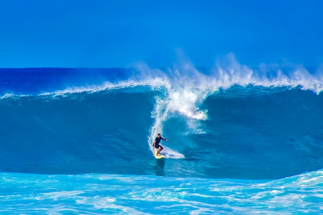 SURFSHOP VOGUE SURF